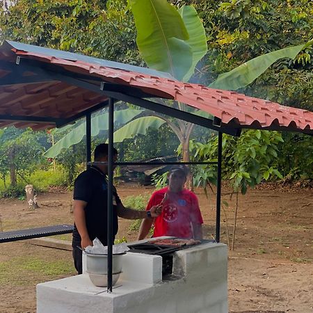 Los Amigos Jungle Hotel Tortuguero Eksteriør bilde