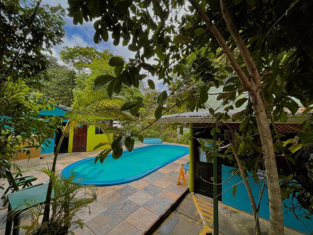 Los Amigos Jungle Hotel Tortuguero Eksteriør bilde