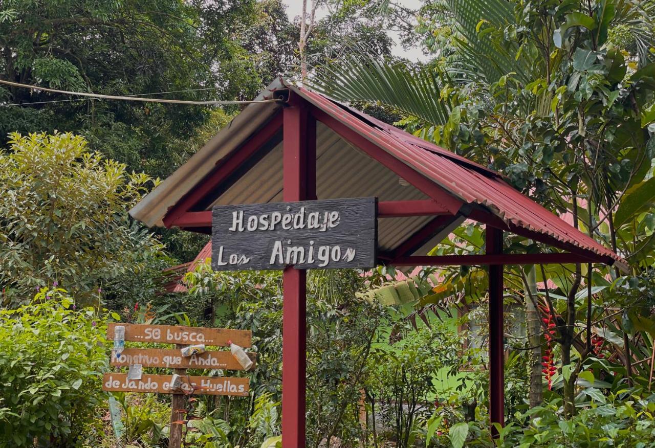 Los Amigos Jungle Hotel Tortuguero Eksteriør bilde