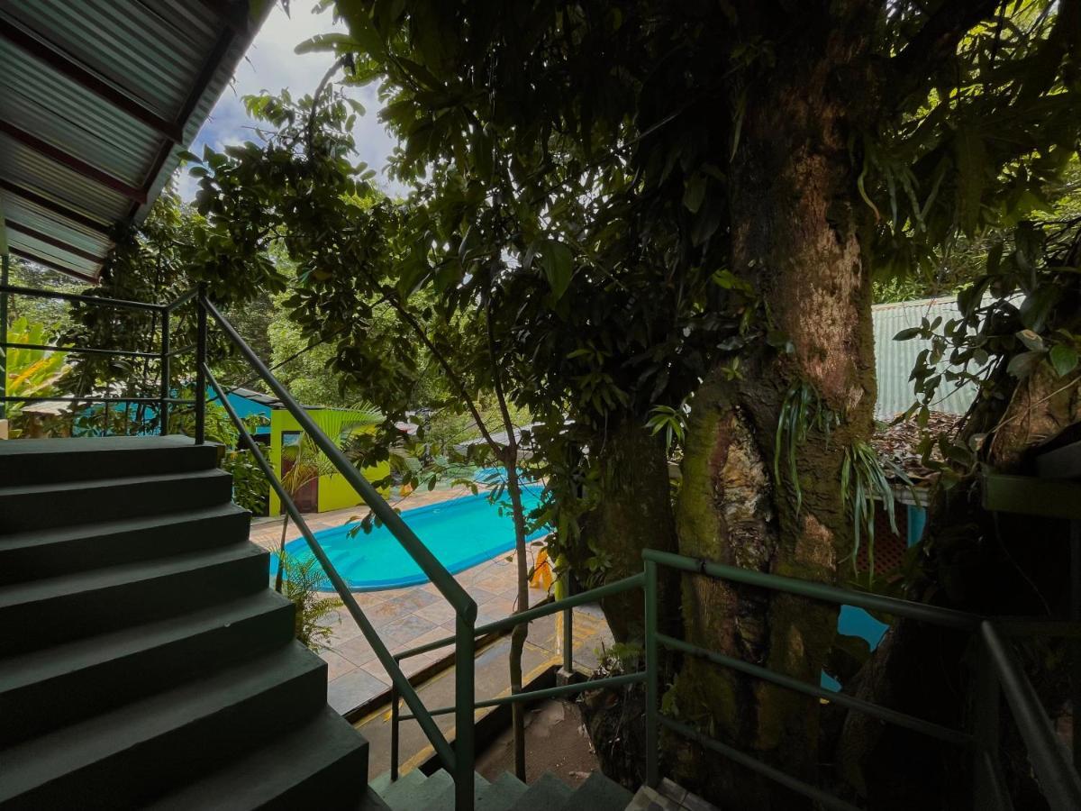 Los Amigos Jungle Hotel Tortuguero Eksteriør bilde
