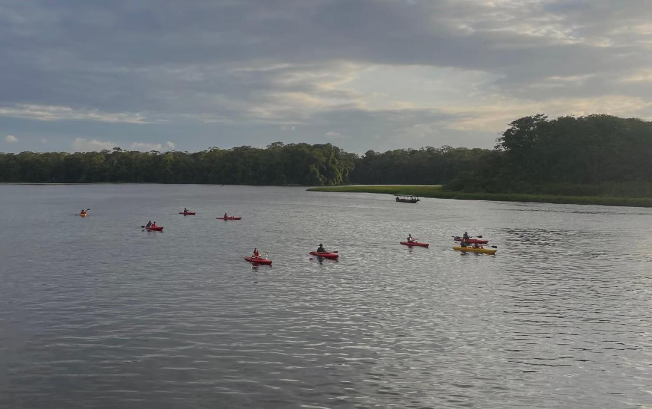 Los Amigos Jungle Hotel Tortuguero Eksteriør bilde