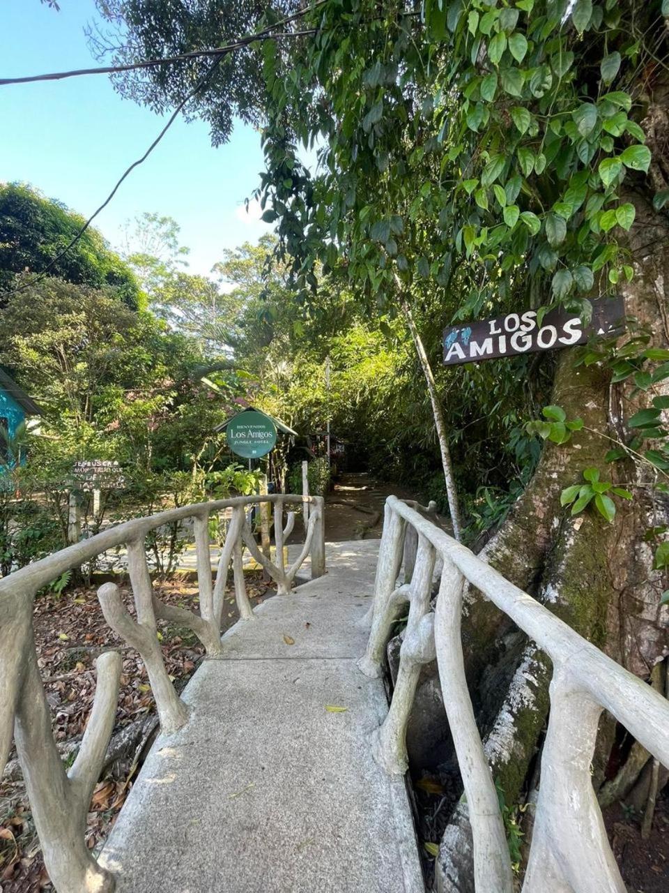 Los Amigos Jungle Hotel Tortuguero Eksteriør bilde